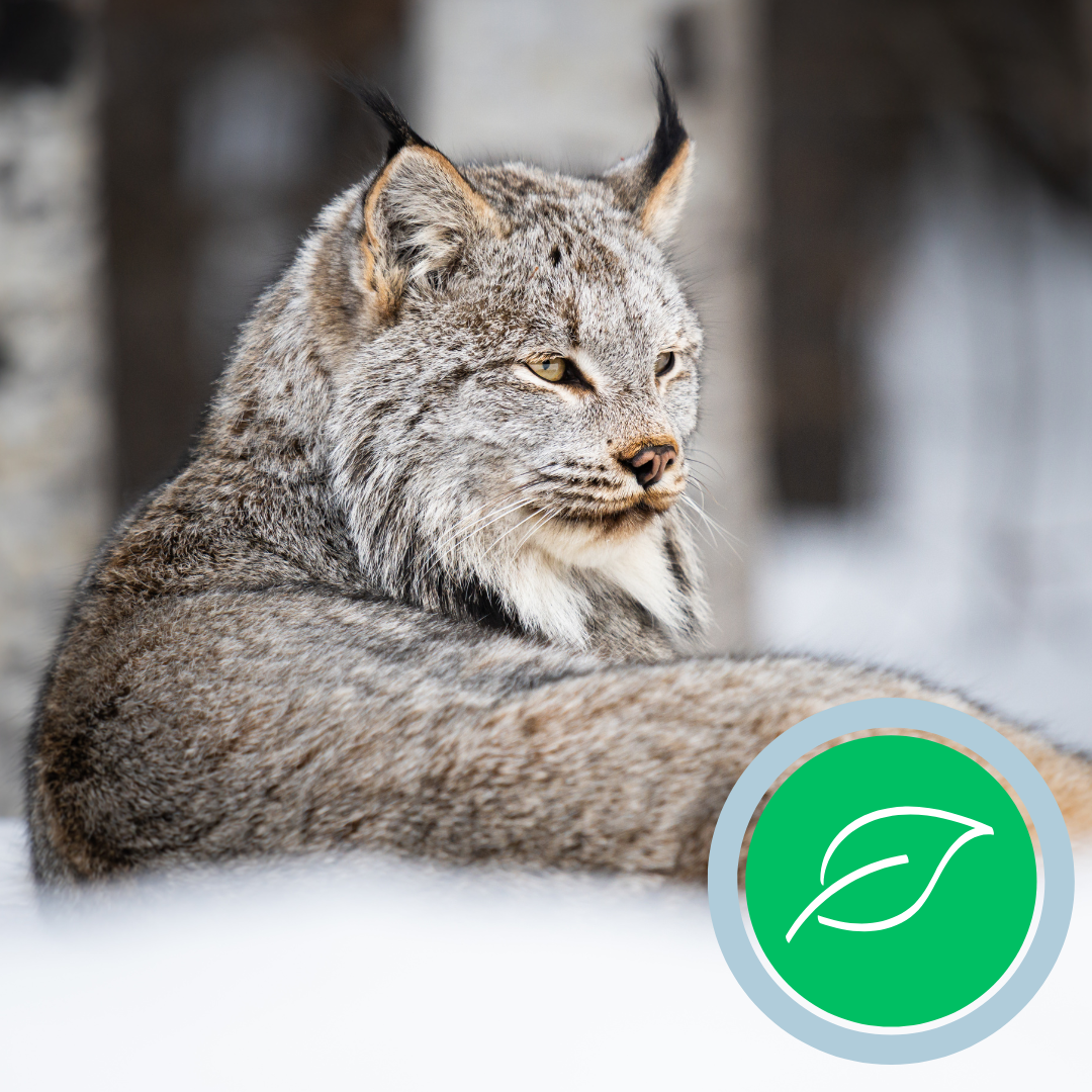 Why I Support the Nature Conservancy of Canada