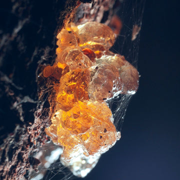 Amber Gemstone: A Guide to Its Properties, Meanings, and Uses