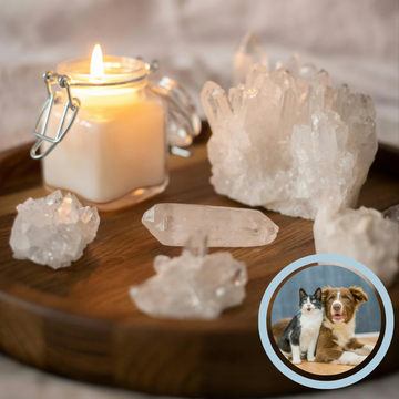 Best Crystals for Pets: A Complete Holistic Guide to Natural Healing Stones for Dogs, Cats, and Other Animals