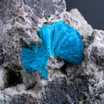 Cavansite: Meaning, Properties, and How We Use This Rare Blue Crystal in Jewellery