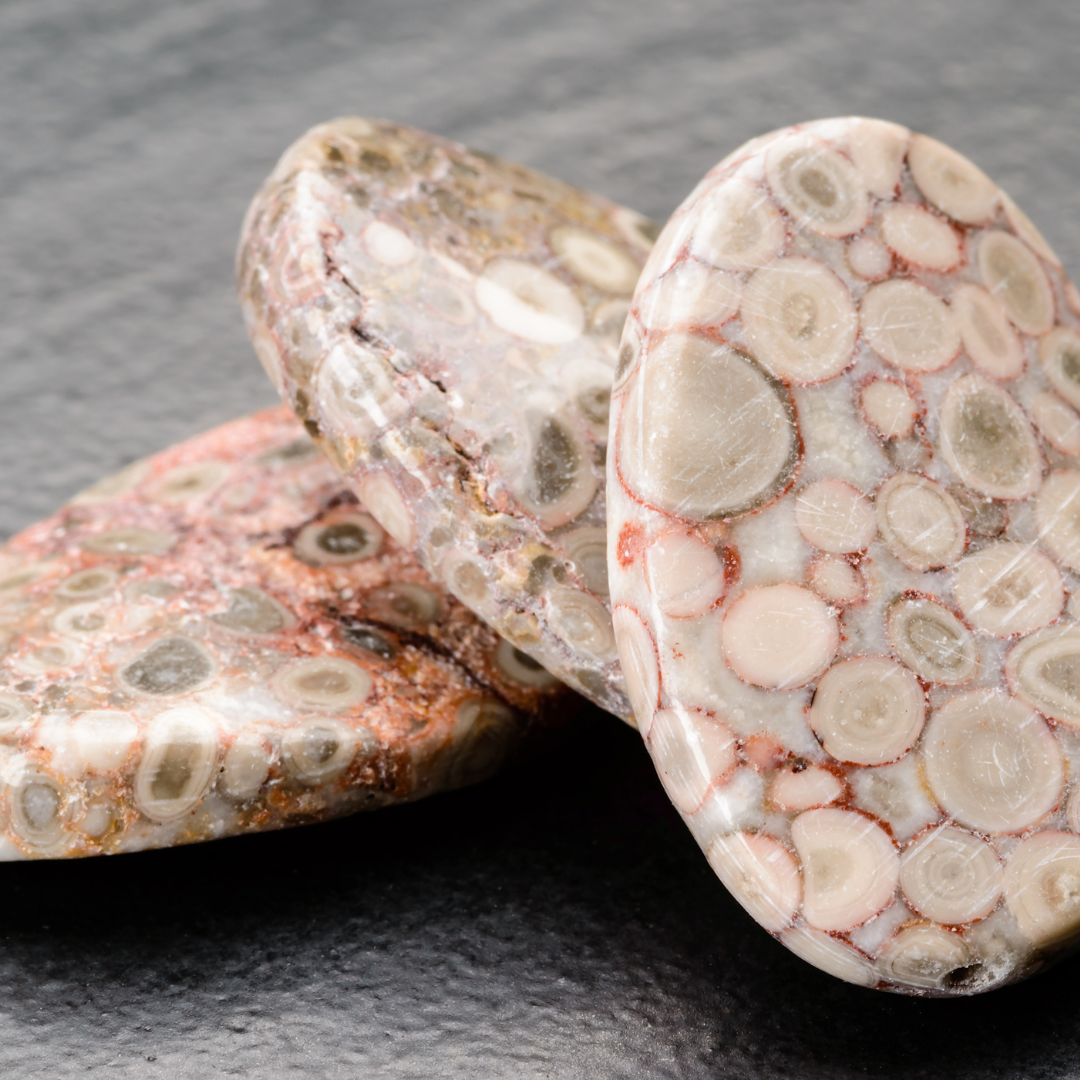 Organic Gems: Understanding the Differences and Benefits of Organic and Fossil Gemstones