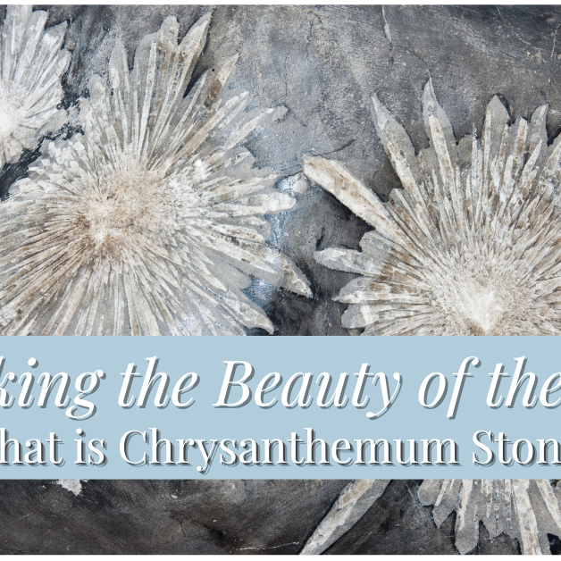 Unlocking the Beauty of the Earth: What is Chrysanthemum Stone?