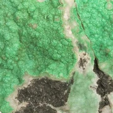Antigorite: Properties, Meaning & Jewelry Guide