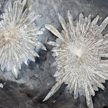 Unlocking the Beauty of the Earth: Chrysanthemum Crystal Meaning and the Stone's Significance