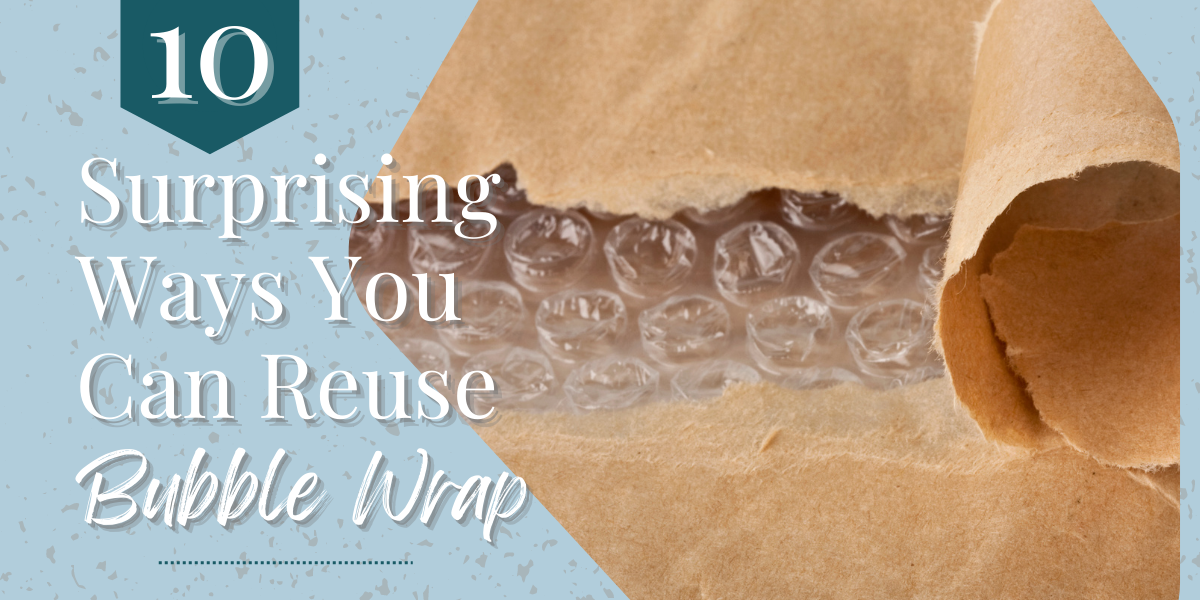 https://fiercelynxdesigns.com/cdn/shop/articles/bubblewrap_1_1200x600_crop_center.png?v=1650993661