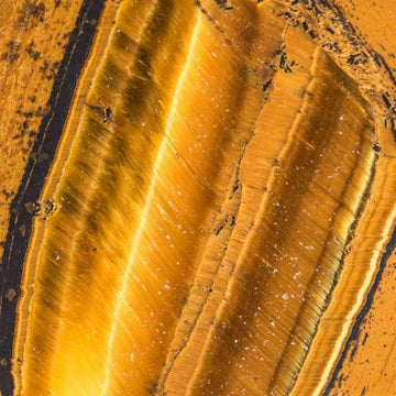 Tiger's Eye - Fierce Lynx Designs
