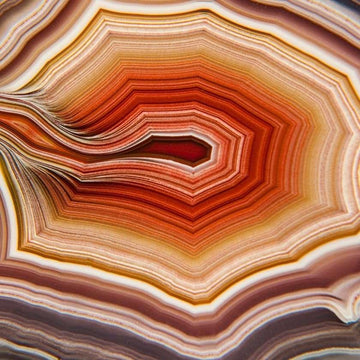 Agate - Fierce Lynx Designs