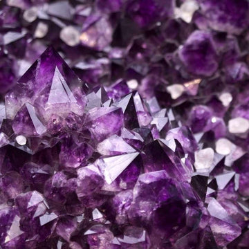 Amethyst - Fierce Lynx Designs